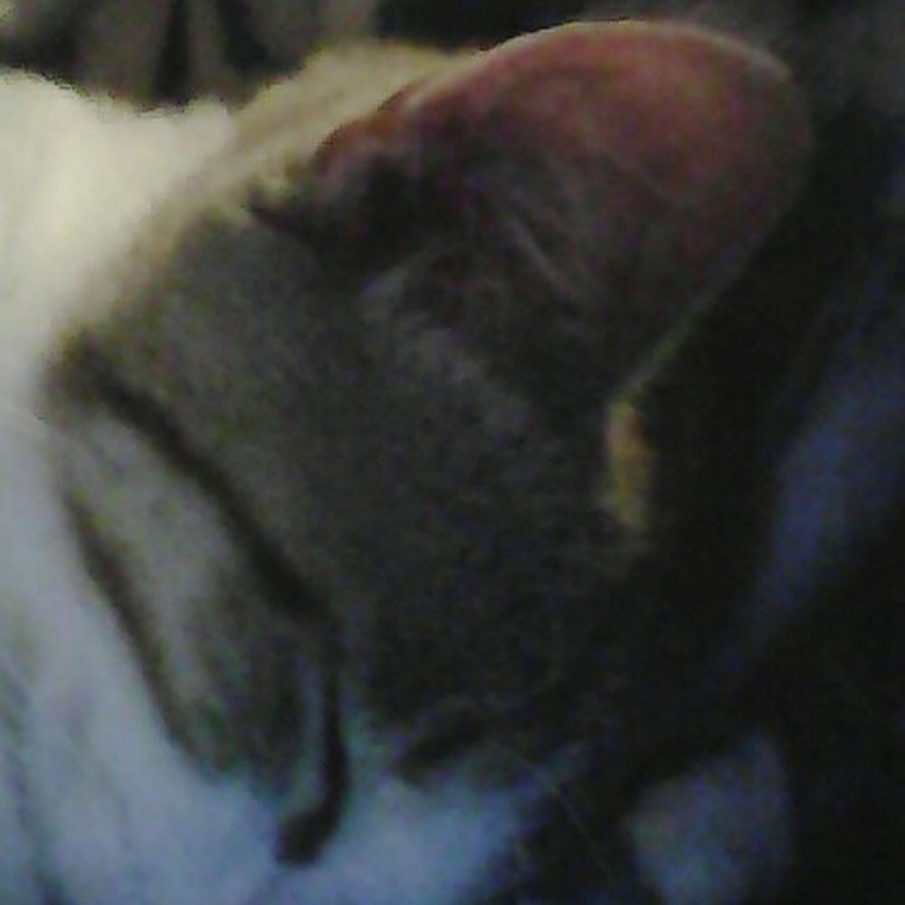 Meet your Posher, Deborah